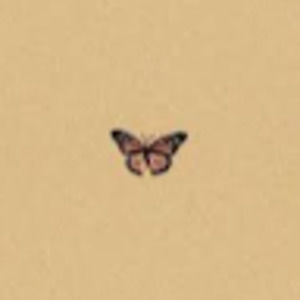 Meet your Posher, Kambria